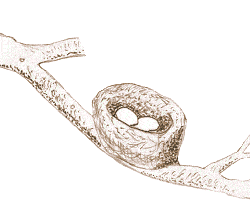 Simple Cup Nest