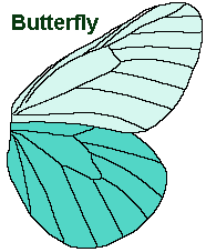 butterfly wings