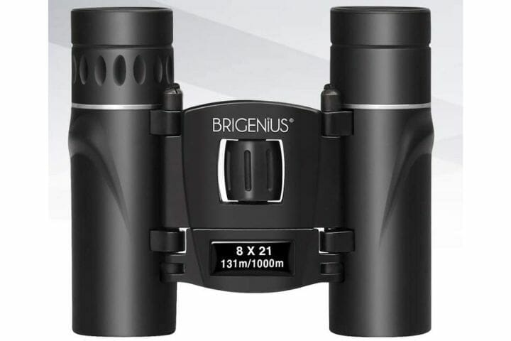 Best Compact Binoculars for Wildlife Viewing