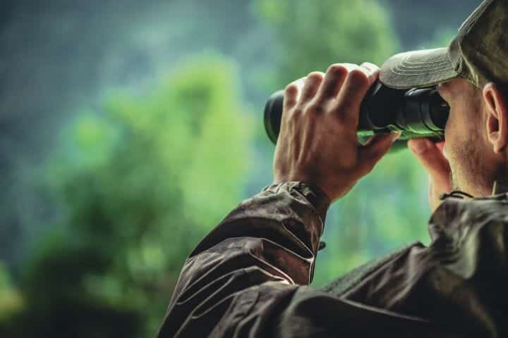 Best Compact Binoculars for Wildlife Viewing