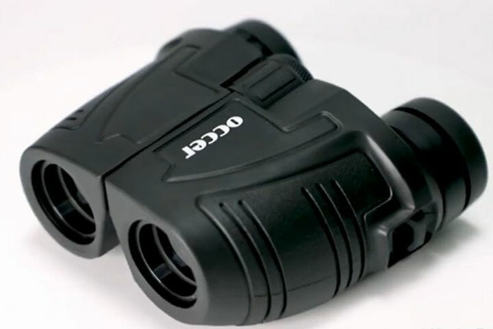 Best Compact Binoculars for Wildlife Viewing