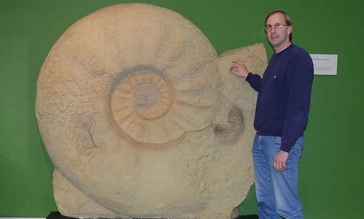 largest nautilus Parapuzosia seppenradensis