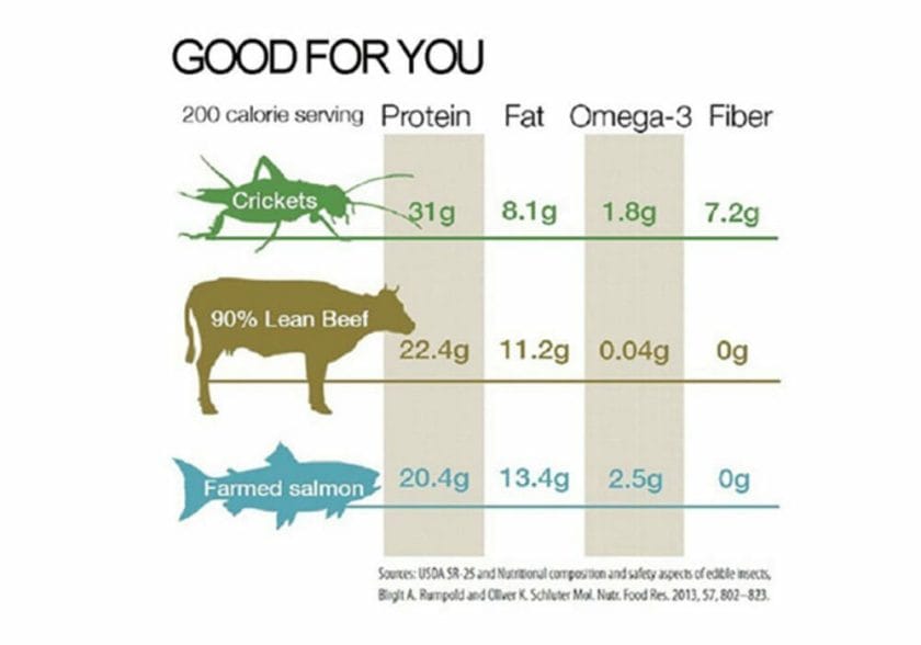 Protein count on common food source