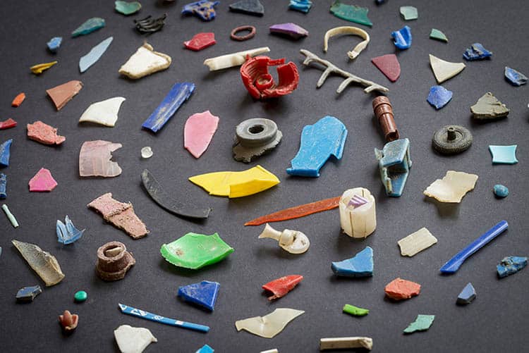Pieces of plastic collected from a river.
