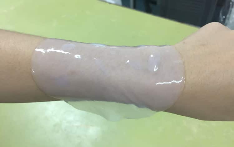 Bacterial cellulose proteobacteria