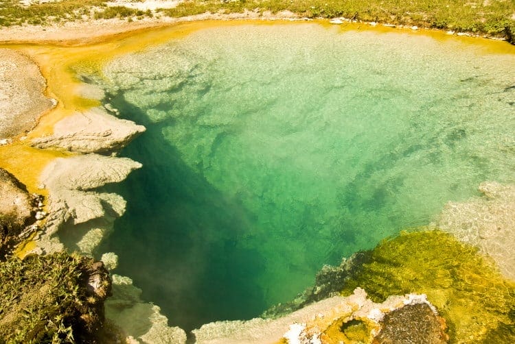 hot springs in yellow stone park