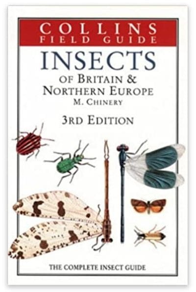 Insects of Britain & Northern Europe basic book