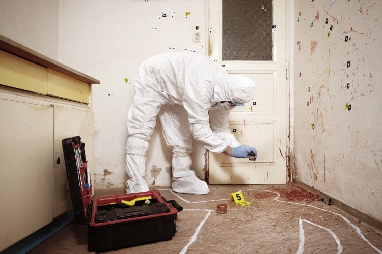 forensic entomologist on crime scene