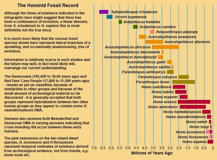 Timeline of known Hominid fossils.