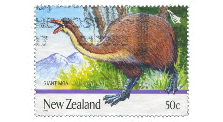 extinct moa bird
