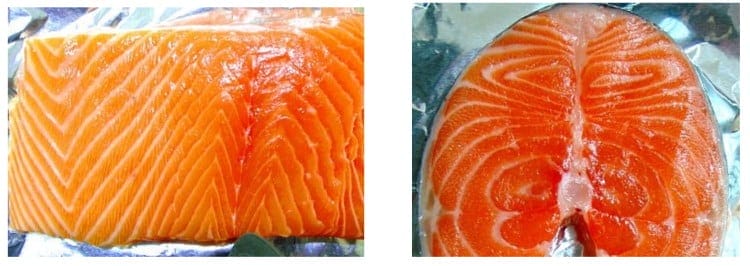 muscles fish salmon