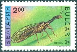 Bulgarian Stamp showing a Raphidiopteran.